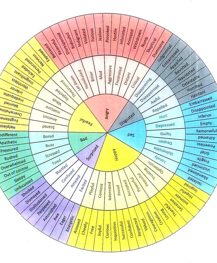 WHEEL OF EMOTION